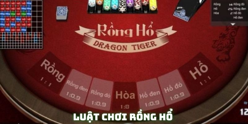 Quy luật Rồng Hổ bạn nên biết