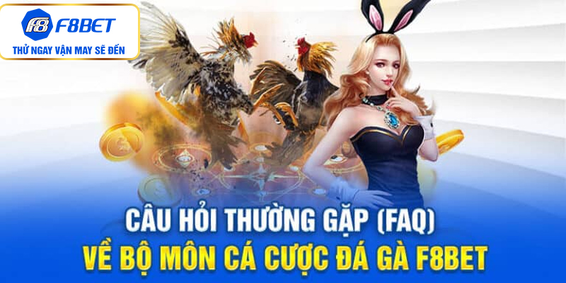 Diễn đàn gà đá F8bet - Hội tụ đam mê cùng các sư kê lão luyện